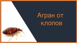 Агран от клопов