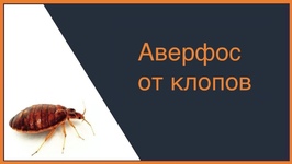 Аверфос от клопов