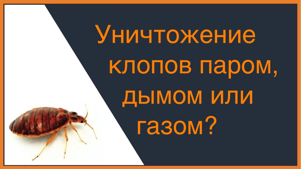 Уничтожение клопов паром, газом или дымом в Химках