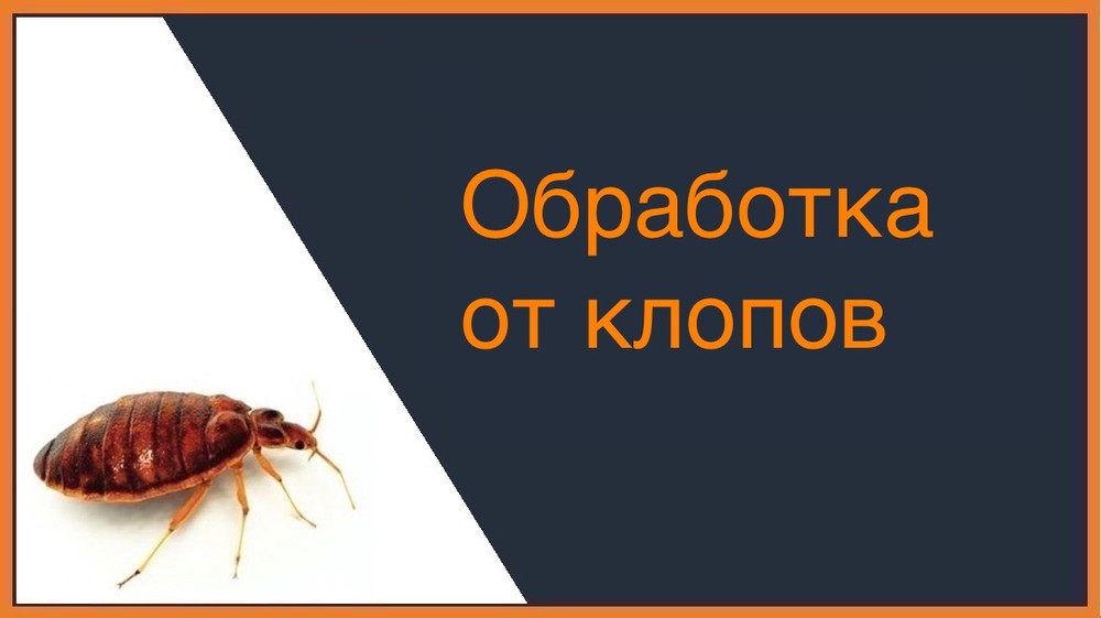 Обработка от клопов в Химках