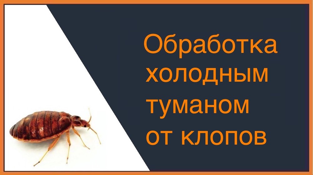 Обработка холодным и горячим туманом от клопов в Химках