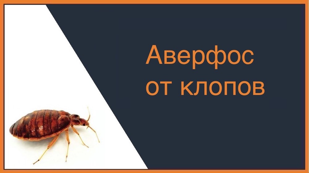 Аверфос от клопов